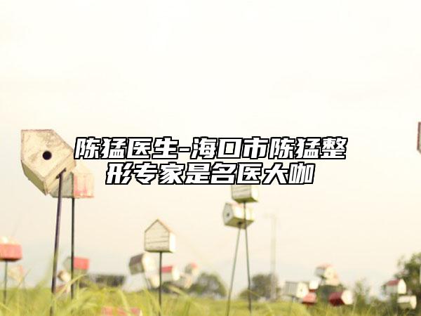陳猛醫(yī)生-?？谑嘘惷驼螌＜沂敲t(yī)大咖