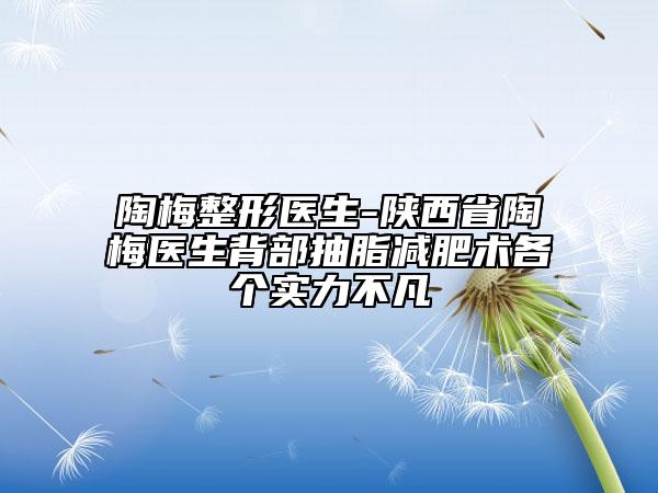 陶梅整形醫(yī)生-陜西省陶梅醫(yī)生背部抽脂減肥術(shù)各個實力不凡