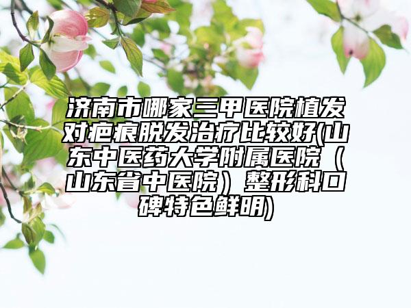 濟(jì)南市哪家三甲醫(yī)院植發(fā)對疤痕脫發(fā)治療比較好(山東中醫(yī)藥大學(xué)附屬醫(yī)院（山東省中醫(yī)院）整形科口碑特色鮮明)