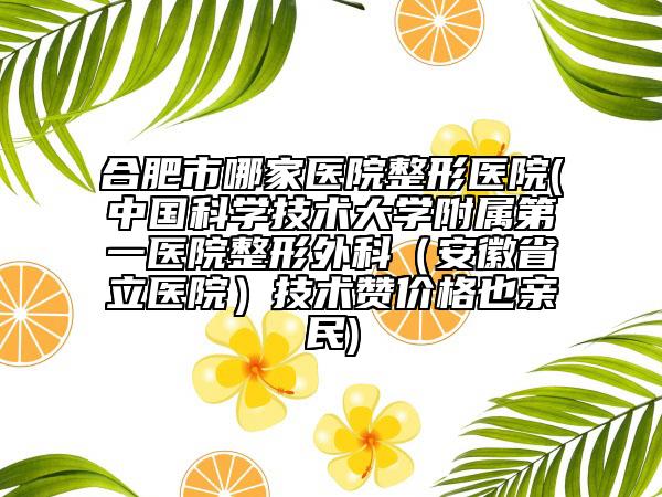 合肥市哪家醫(yī)院整形醫(yī)院(中國科學(xué)技術(shù)大學(xué)附屬第一醫(yī)院整形外科（安徽省立醫(yī)院）技術(shù)贊價格也親民)