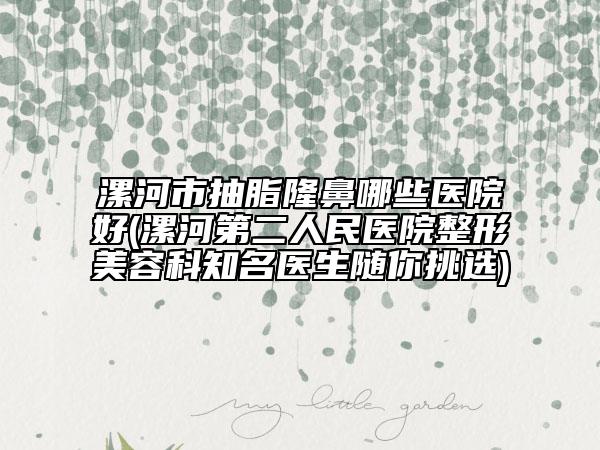 漯河市抽脂隆鼻哪些醫(yī)院好(漯河第二人民醫(yī)院整形美容科知名醫(yī)生隨你挑選)