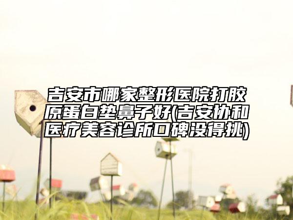 吉安市哪家整形醫(yī)院打膠原蛋白墊鼻子好(吉安協(xié)和醫(yī)療美容診所口碑沒(méi)得挑)