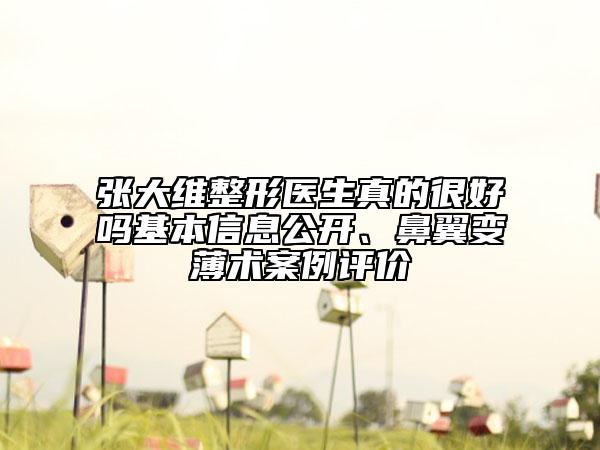 張大維整形醫(yī)生真的很好嗎基本信息公開、鼻翼變薄術(shù)案例評(píng)價(jià)