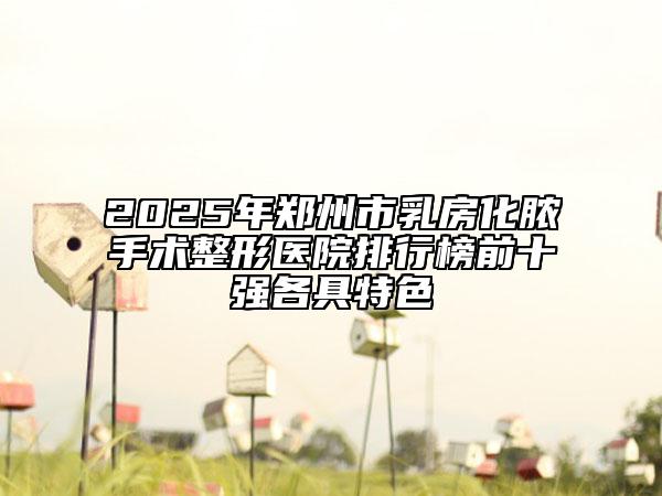 2025年鄭州市乳房化膿手術(shù)整形醫(yī)院排行榜前十強各具特色