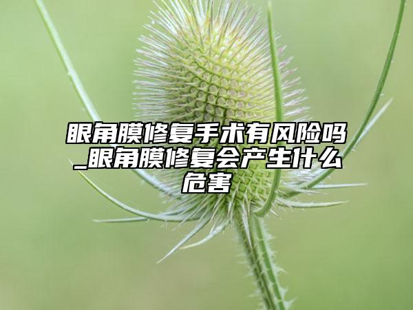 眼角膜修復(fù)手術(shù)有風(fēng)險(xiǎn)嗎_眼角膜修復(fù)會(huì)產(chǎn)生什么危害