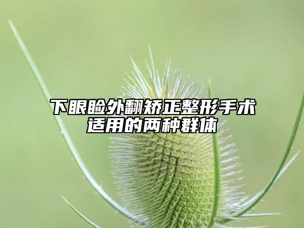 下眼瞼外翻矯正整形手術(shù)適用的兩種群體