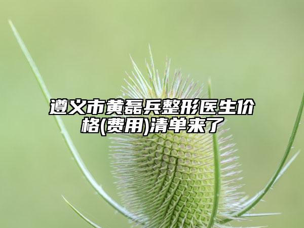 遵義市黃磊兵整形醫(yī)生價(jià)格(費(fèi)用)清單來(lái)了