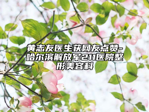 黃志友醫(yī)生獲網(wǎng)友點贊-哈爾濱解放軍211醫(yī)院整形美容科
