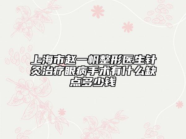 上海市趙一帆整形醫(yī)生針灸治療眼病手術(shù)有什么缺點(diǎn)多少錢