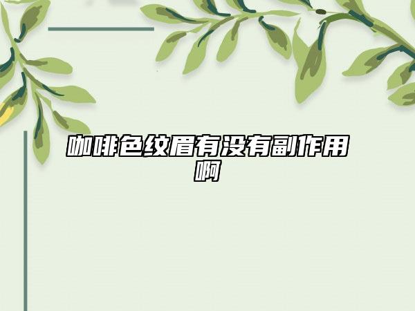 咖啡色紋眉有沒有副作用啊