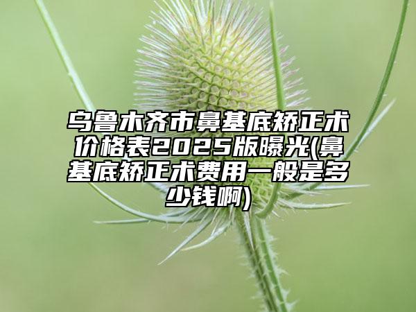 烏魯木齊市鼻基底矯正術(shù)價格表2025版曝光(鼻基底矯正術(shù)費(fèi)用一般是多少錢啊)