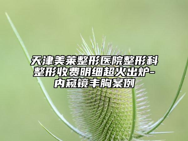 天津美萊整形醫(yī)院整形科整形收費(fèi)明細(xì)超火出爐-內(nèi)窺鏡豐胸案例