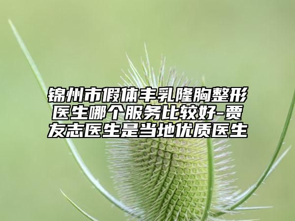 錦州市假體豐乳隆胸整形醫(yī)生哪個(gè)服務(wù)比較好-賈友志醫(yī)生是當(dāng)?shù)貎?yōu)質(zhì)醫(yī)生
