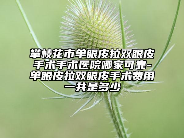 攀枝花市單眼皮拉雙眼皮手術(shù)手術(shù)醫(yī)院哪家可靠-單眼皮拉雙眼皮手術(shù)費用一共是多少