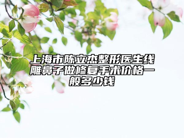 上海市陳立杰整形醫(yī)生線(xiàn)雕鼻子做修復(fù)手術(shù)價(jià)格一般多少錢(qián)