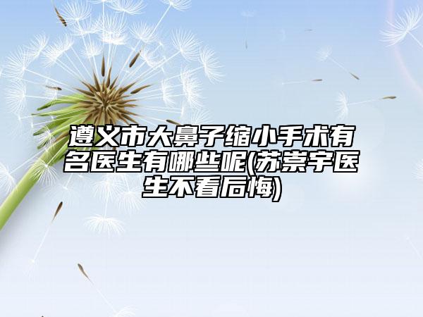 遵義市大鼻子縮小手術(shù)有名醫(yī)生有哪些呢(蘇崇宇醫(yī)生不看后悔)