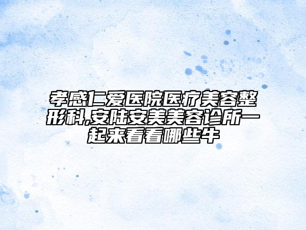 孝感仁愛(ài)醫(yī)院醫(yī)療美容整形科,安陸安美美容診所一起來(lái)看看哪些牛