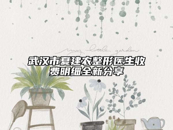 武漢市夏建農(nóng)整形醫(yī)生收費(fèi)明細(xì)全新分享
