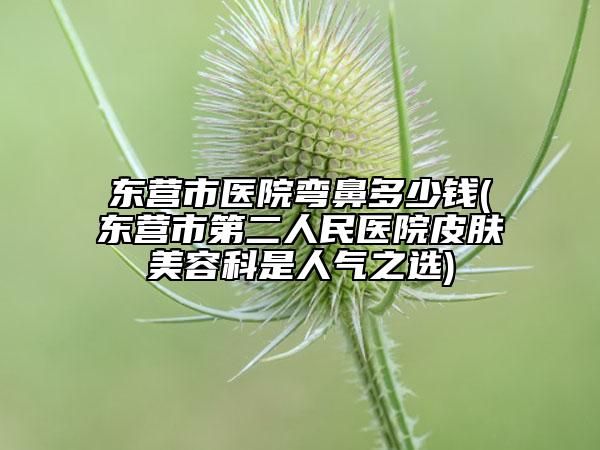 東營(yíng)市醫(yī)院彎鼻多少錢(qián)(東營(yíng)市第二人民醫(yī)院皮膚美容科是人氣之選)