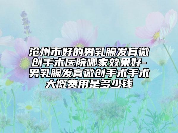 滄州市好的男乳腺發(fā)育微創(chuàng)手術醫(yī)院哪家效果好-男乳腺發(fā)育微創(chuàng)手術手術大概費用是多少錢