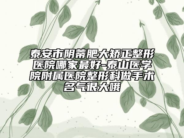 泰安市陰蒂肥大矯正整形醫(yī)院哪家最好-泰山醫(yī)學(xué)院附屬醫(yī)院整形科做手術(shù)名氣很大哦