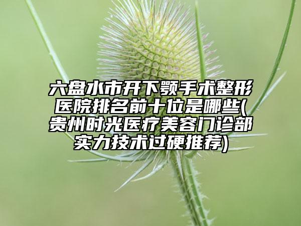 六盤水市開下顎手術(shù)整形醫(yī)院排名前十位是哪些(貴州時(shí)光醫(yī)療美容門診部實(shí)力技術(shù)過硬推薦)