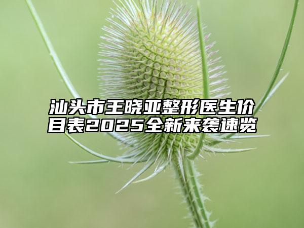 汕頭市王曉亞整形醫(yī)生價(jià)目表2025全新來(lái)襲速覽