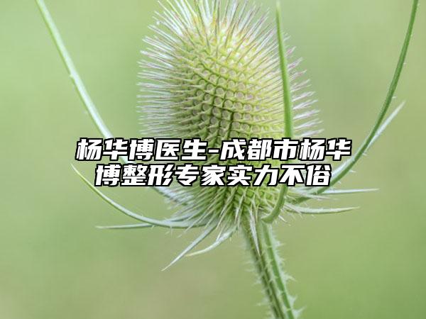 楊華博醫(yī)生-成都市楊華博整形專家實力不俗