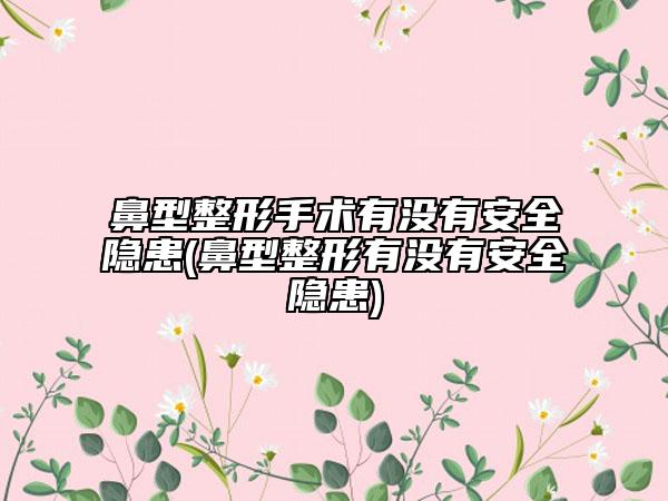 鼻型整形手術(shù)有沒有安全隱患(鼻型整形有沒有安全隱患)