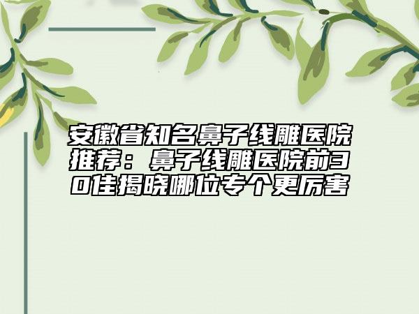 安徽省知名鼻子線雕醫(yī)院推薦：鼻子線雕醫(yī)院前30佳揭曉哪位專個(gè)更厲害