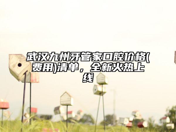 武漢九州牙管家口腔價(jià)格(費(fèi)用)清單，全新火熱上線