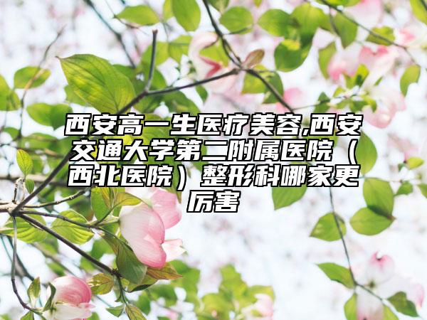 西安高一生醫(yī)療美容,西安交通大學(xué)第二附屬醫(yī)院（西北醫(yī)院）整形科哪家更厲害