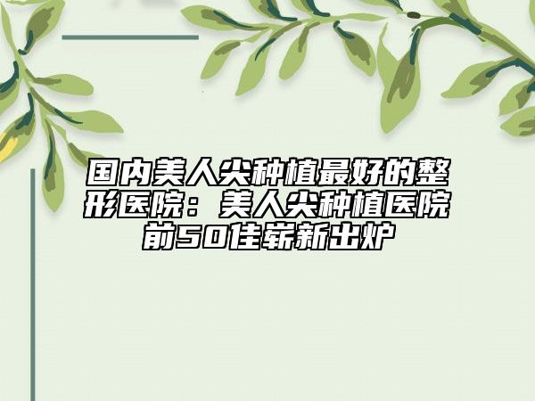 國(guó)內(nèi)美人尖種植最好的整形醫(yī)院：美人尖種植醫(yī)院前50佳嶄新出爐