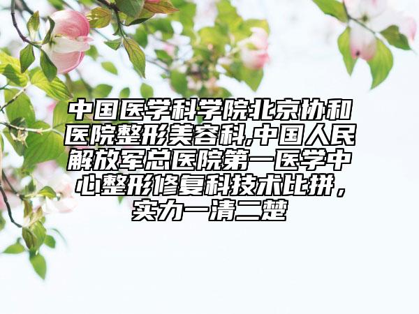 中國(guó)醫(yī)學(xué)科學(xué)院北京協(xié)和醫(yī)院整形美容科,中國(guó)人民解放軍總醫(yī)院第一醫(yī)學(xué)中心整形修復(fù)科技術(shù)比拼，實(shí)力一清二楚