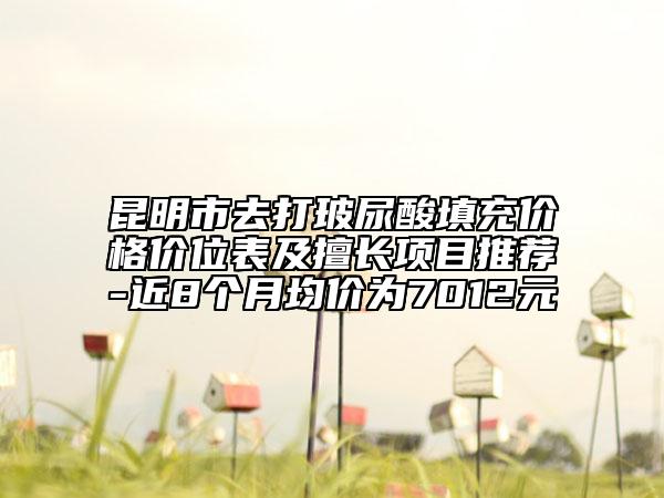 昆明市去打玻尿酸填充價格價位表及擅長項目推薦-近8個月均價為7012元