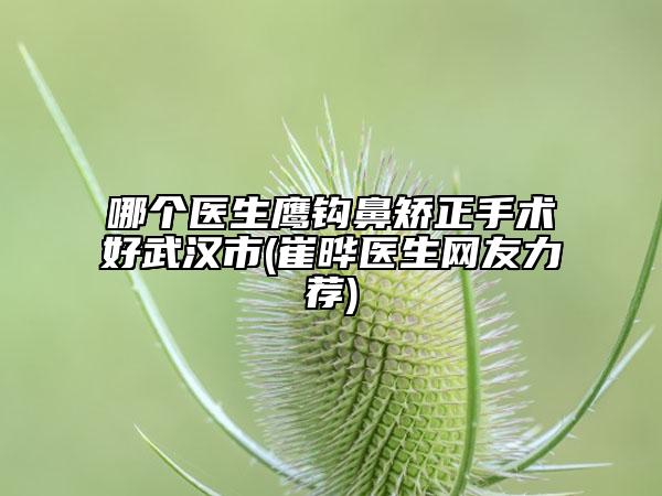 哪個(gè)醫(yī)生鷹鉤鼻矯正手術(shù)好武漢市(崔曄醫(yī)生網(wǎng)友力薦)