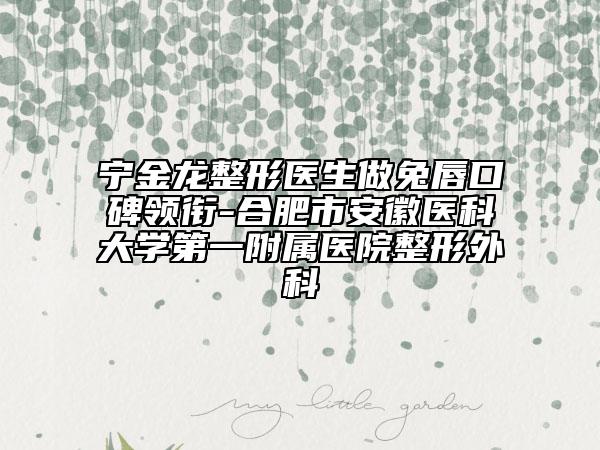 寧金龍整形醫(yī)生做兔唇口碑領(lǐng)銜-合肥市安徽醫(yī)科大學(xué)第一附屬醫(yī)院整形外科