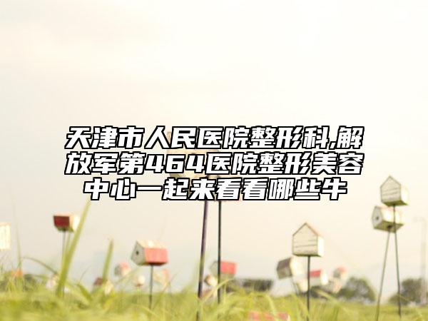 天津市人民醫(yī)院整形科,解放軍第464醫(yī)院整形美容中心一起來看看哪些牛