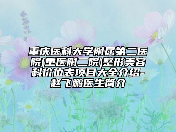 重慶醫(yī)科大學(xué)附屬第二醫(yī)院(重醫(yī)附二院)整形美容科價(jià)位表項(xiàng)目大全介紹-趙飛鵬醫(yī)生簡(jiǎn)介