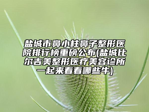 鹽城市鼻小柱鼻子整形醫(yī)院排行榜重磅公布(鹽城比爾吉美整形醫(yī)療美容診所一起來看看哪些牛)
