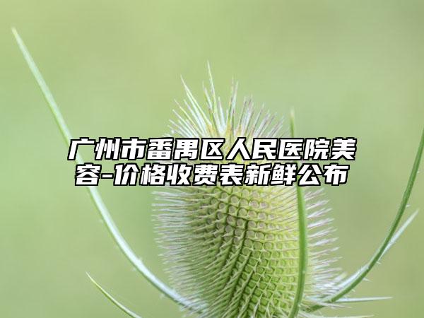 廣州市番禺區(qū)人民醫(yī)院美容-價格收費(fèi)表新鮮公布
