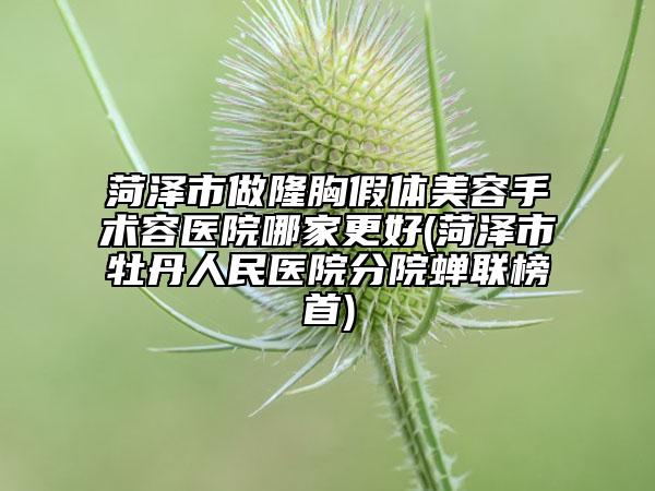 菏澤市做隆胸假體美容手術(shù)容醫(yī)院哪家更好(菏澤市牡丹人民醫(yī)院分院蟬聯(lián)榜首)
