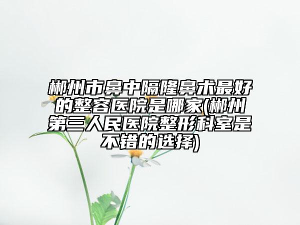 郴州市鼻中隔隆鼻術(shù)最好的整容醫(yī)院是哪家(郴州第三人民醫(yī)院整形科室是不錯(cuò)的選擇)