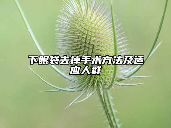 下眼袋去掉手術(shù)方法及適應(yīng)人群