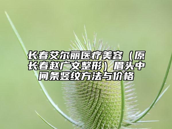 長春艾爾麗醫(yī)療美容（原長春趙廣文整形）眉頭中間條豎紋方法與價格