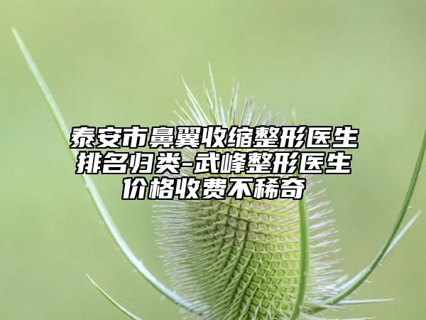 泰安市鼻翼收縮整形醫(yī)生排名歸類-武峰整形醫(yī)生價格收費不稀奇