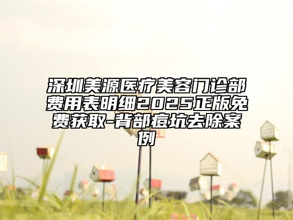 深圳美源醫(yī)療美容門診部費(fèi)用表明細(xì)2025正版免費(fèi)獲取-背部痘坑去除案例