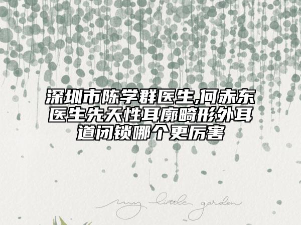 深圳市陳學(xué)群醫(yī)生,何赤東醫(yī)生先天性耳廓畸形外耳道閉鎖哪個(gè)更厲害
