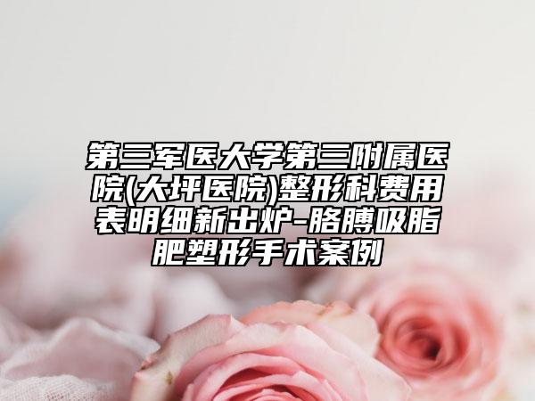 第三軍醫(yī)大學(xué)第三附屬醫(yī)院(大坪醫(yī)院)整形科費(fèi)用表明細(xì)新出爐-胳膊吸脂肥塑形手術(shù)案例