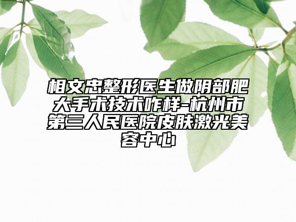 相文忠整形醫(yī)生做陰部肥大手術(shù)技術(shù)咋樣-杭州市第三人民醫(yī)院皮膚激光美容中心